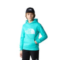 Kids Drew Peak 2024 Hoodie Black