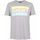 Take You Home T-shirt Grey/Multi