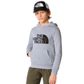 Kids Drew Peak Hoodie Forest Olive